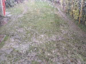 Redesigned Patio in Wicklow